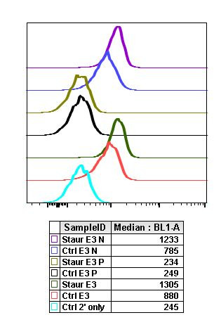 Phospho-p38 MAPK alpha (Thr180, Tyr182) Antibody in Flow Cytometry (Flow)