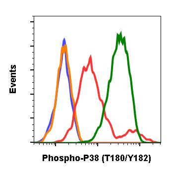 Phospho-p38 MAPK alpha (Thr180, Tyr182) Antibody in Flow Cytometry (Flow)