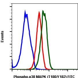 Phospho-p38 MAPK alpha (Thr180, Tyr182) Antibody in Flow Cytometry (Flow)