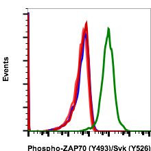 Phospho-ZAP70/Syk (Tyr493, Tyr526) Antibody in Flow Cytometry (Flow)