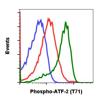 Phospho-ATF2 (Thr71) Antibody in Flow Cytometry (Flow)