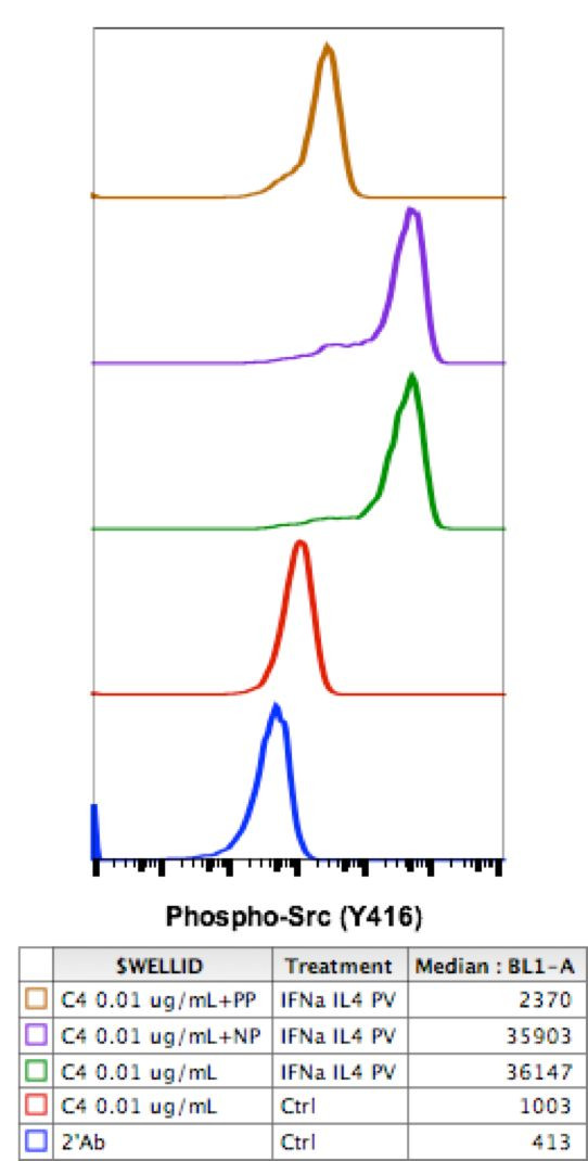 Phospho-Src (Tyr416) Antibody in Flow Cytometry (Flow)