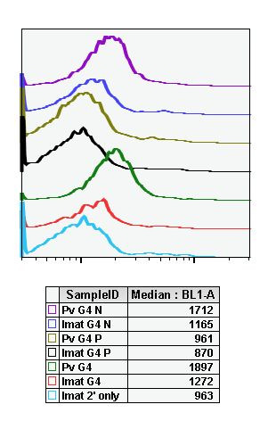 Phospho-CrkL (Tyr207) Antibody in Flow Cytometry (Flow)