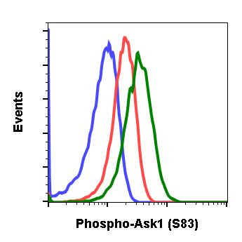 Phospho-Ask1 (Ser83) Antibody in Flow Cytometry (Flow)