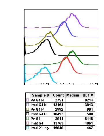 Phospho-Ask1 (Ser83) Antibody in Flow Cytometry (Flow)