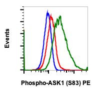 Phospho-Ask1 (Ser83) Antibody in Flow Cytometry (Flow)