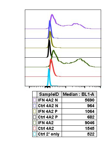 Phospho-Shp2 (Tyr580) Antibody in Flow Cytometry (Flow)