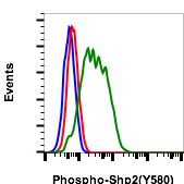 Phospho-Shp2 (Tyr580) Antibody in Flow Cytometry (Flow)