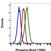Phospho-Shp2 (Tyr580) Antibody in Flow Cytometry (Flow)