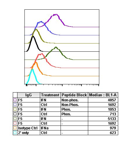 Phospho-NDRG1 (Thr346) Antibody in Flow Cytometry (Flow)