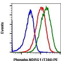 Phospho-NDRG1 (Thr346) Antibody in Flow Cytometry (Flow)