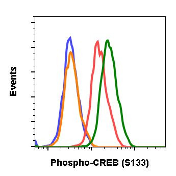 Phospho-CREB (Ser133) Antibody in Flow Cytometry (Flow)