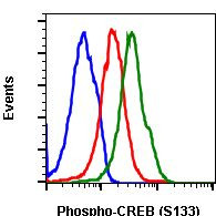 Phospho-CREB (Ser133) Antibody in Flow Cytometry (Flow)