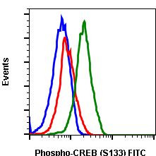 Phospho-CREB (Ser133) Antibody in Flow Cytometry (Flow)