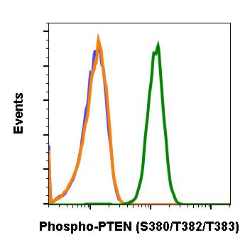 Phospho-PTEN (Ser380, Thr382, Thr383) Antibody in Flow Cytometry (Flow)