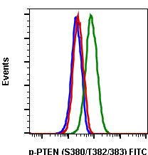 Phospho-PTEN (Ser380, Thr382, Thr383) Antibody in Flow Cytometry (Flow)