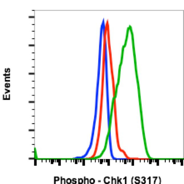 Phospho-Chk1 (Ser317) Antibody in Flow Cytometry (Flow)