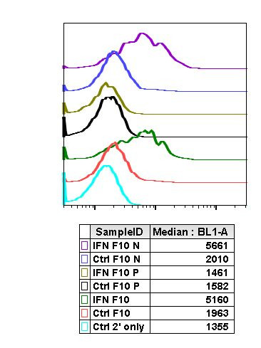 Phospho-Chk1 (Ser317) Antibody in Flow Cytometry (Flow)