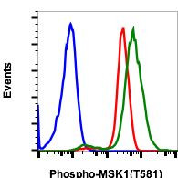 Phospho-MSK1 (Thr581) Antibody in Flow Cytometry (Flow)