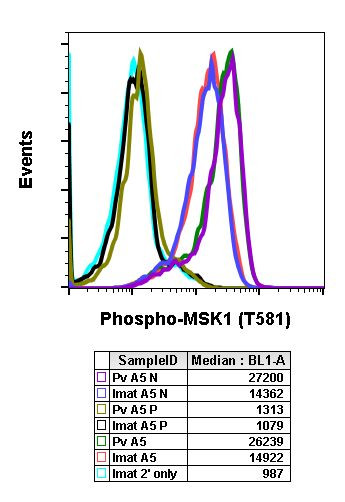 Phospho-MSK1 (Thr581) Antibody in Flow Cytometry (Flow)