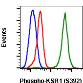 Phospho-KSR1 (Ser392) Antibody in Flow Cytometry (Flow)