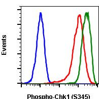 Phospho-Chk1 (Ser345) Antibody in Flow Cytometry (Flow)