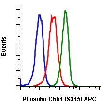 Phospho-Chk1 (Ser345) Antibody in Flow Cytometry (Flow)