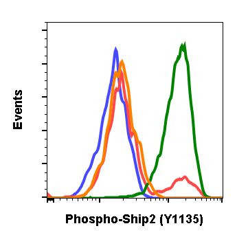 Phospho-Ship2 (Tyr1135) Antibody in Flow Cytometry (Flow)