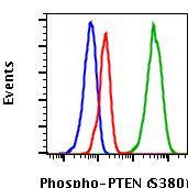 Phospho-PTEN (Ser380) Antibody in Flow Cytometry (Flow)