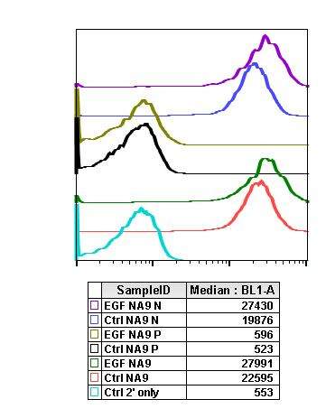 Phospho-PTEN (Ser380) Antibody in Flow Cytometry (Flow)