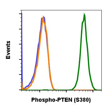 Phospho-PTEN (Ser380) Antibody in Flow Cytometry (Flow)