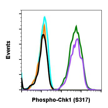 Phospho-Chk1 (Ser317) Antibody in Flow Cytometry (Flow)