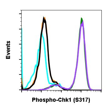 Phospho-Chk1 (Ser317) Antibody in Flow Cytometry (Flow)