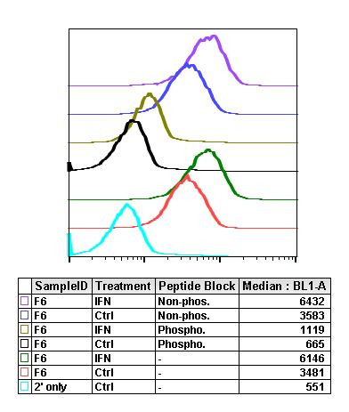 Phospho-Stat4 (Tyr693) Antibody in Flow Cytometry (Flow)