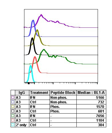 Phospho-Lck (Tyr505) Antibody in Flow Cytometry (Flow)