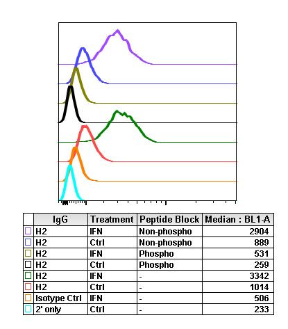 Phospho-MEK1/MEK2 (Ser217, Ser221) Antibody in Flow Cytometry (Flow)