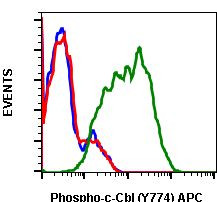 Phospho-c-Cbl (Tyr774) Antibody in Flow Cytometry (Flow)