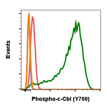 Phospho-c-Cbl (Tyr700) Antibody in Flow Cytometry (Flow)