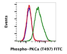 Phospho-PKC alpha (Thr497) Antibody in Flow Cytometry (Flow)