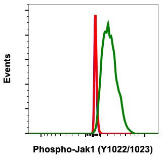 Phospho-Jak1 (Tyr1022, Tyr1023) Antibody in Flow Cytometry (Flow)