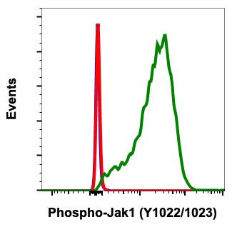 Phospho-Jak1 (Tyr1022, Tyr1023) Antibody in Flow Cytometry (Flow)