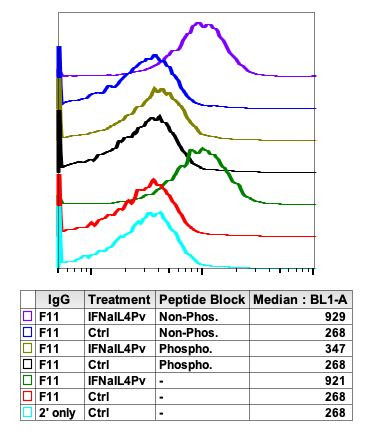 Phospho-Jak1 (Tyr1022, Tyr1023) Antibody in Flow Cytometry (Flow)