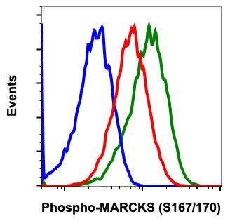 Phospho-MARCKS (Ser167, Ser170) Antibody in Flow Cytometry (Flow)