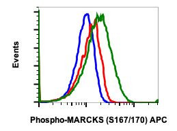 Phospho-MARCKS (Ser167, Ser170) Antibody in Flow Cytometry (Flow)