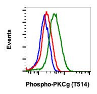 Phospho-PKC gamma (Thr514) Antibody in Flow Cytometry (Flow)