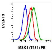 Phospho-MSK1 (Thr581) Antibody in Flow Cytometry (Flow)