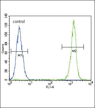 ACTA1 Antibody in Flow Cytometry (Flow)