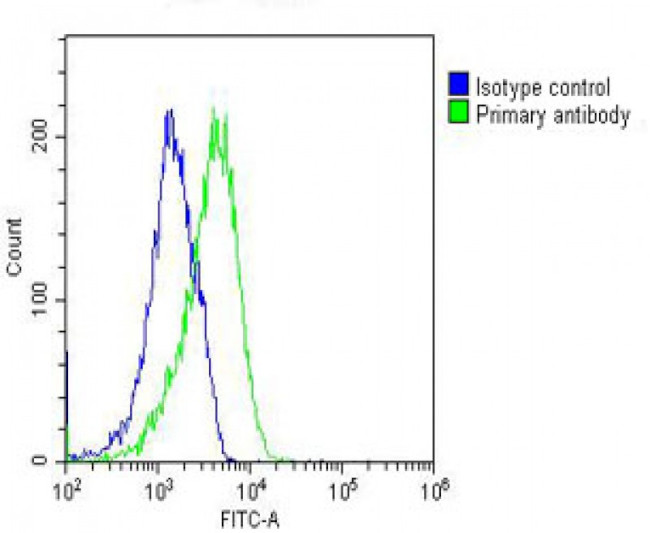 RAB23 Antibody in Flow Cytometry (Flow)