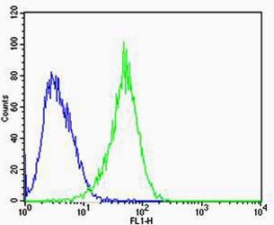 RAC1 Antibody in Flow Cytometry (Flow)