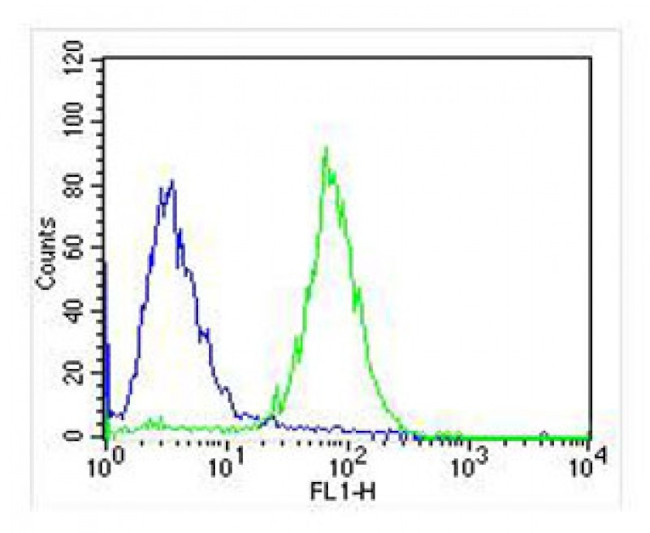 TrkB Antibody in Flow Cytometry (Flow)